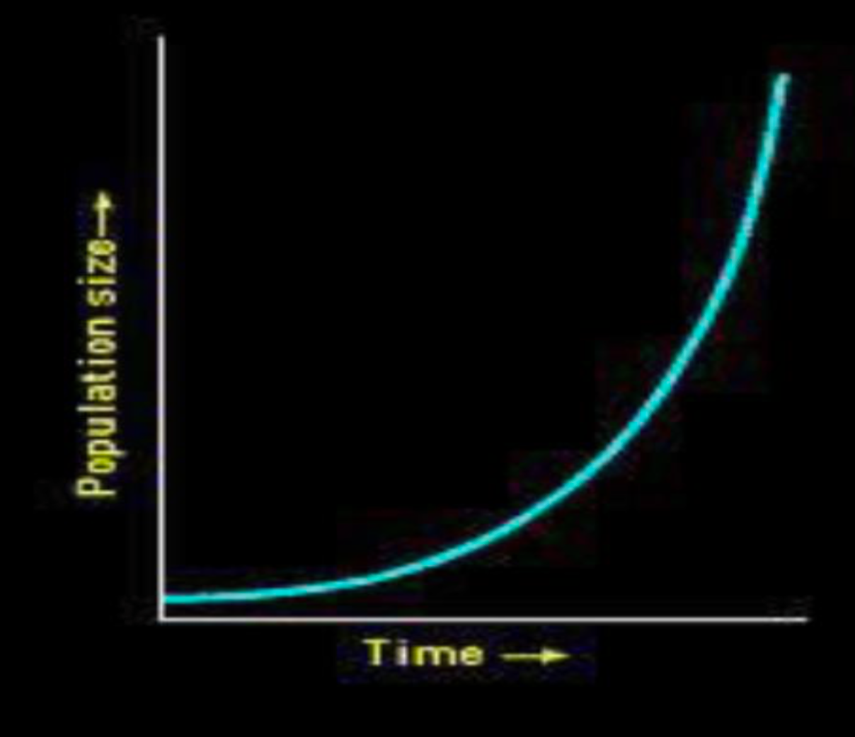 Exponential Growth Curve